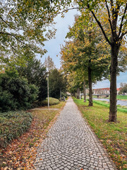 Wall Mural - path with trees and a bench is shown