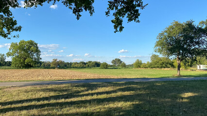 Wall Mural - large field with a road in the middle and trees on the sides