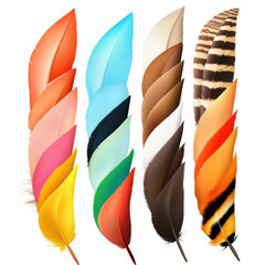Poster - A group of colorful feathers displayed together on a light surface perfect for artistic projects and crafts isolated on transparent background..