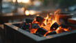 © Sadia - Close up of burning charcoal in a metal container with flames and blurred background scenery visible