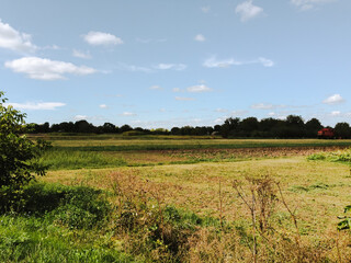 Wall Mural - field with a few trees and a red house in the distance