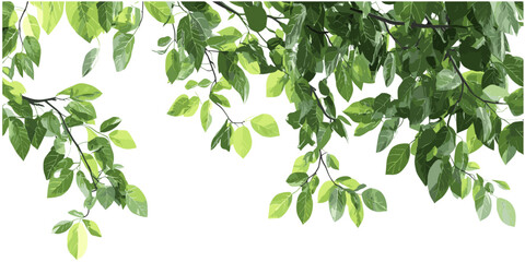 tropics greenery tree branch leafs foreground, isolated green leaves, lush tropical foliage, nature 