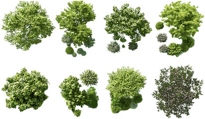 gardening outdoors trees set, cutout top view trees, landscaping collection, grand trees park layout
