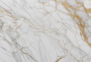 Wall Mural - calacatta veins golden marble architecture premium black background tile white wall floor pattern carrara surface abstract design stone grey natural gold kitchen bright nature texture light interior
