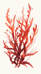 Poster - Minimalist Red Seaweed Digital Watercolor Painting in Flat Vector SVG Style