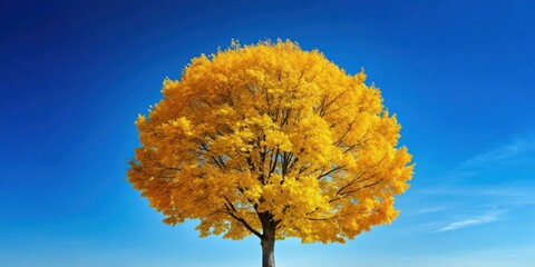 Poster - Autumnal Glory A Single, Vibrant Yellow Tree Against a Vivid Blue Sky