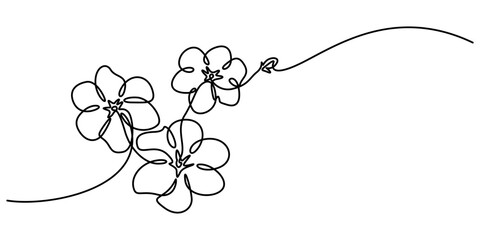 Poster - Continuous one line drawing of cherry blossom. Simple flower blossom line art vector illustration, Hand drawn cherry blossom. Sakura branch with flower one continuous line art. Blooming Apple tree pro
