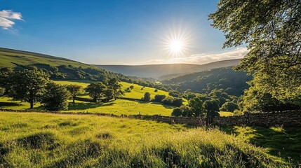 Sunlit Valley Landscape with Rolling Green Hills and Trees