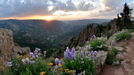 Poster - A vibrant valley showcases wildflowers in full bloom, nestled between steep rugged peaks, with a glistening stream reflecting the fading sunlight at dusk