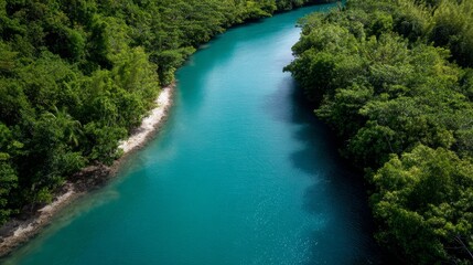 Poster - Bright sunlight illuminates a vibrant blue river that curves through dense tropical greenery, creating a tranquil and picturesque landscape