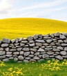 © Kathy - Ancient stone wall, tranquil yellow meadow backdrop, stone wall texture, wall, yellow