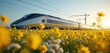 © miss irine - High-speed train travels through field of blooming yellow rapeseed flowers. Modern passenger bullet train, high speed rail transport at sunrise. Railway transportation, spring landscape.