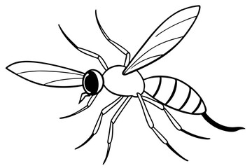 mosquito silhouette line art vector illustration with a white background