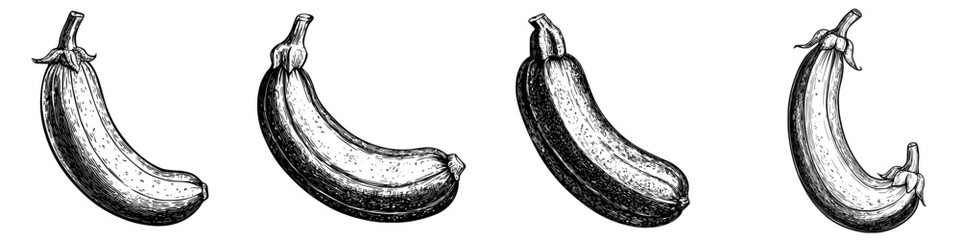 Poster - Multiple illustrations of bananas highlighting their shapes and textures in black and white vintage style