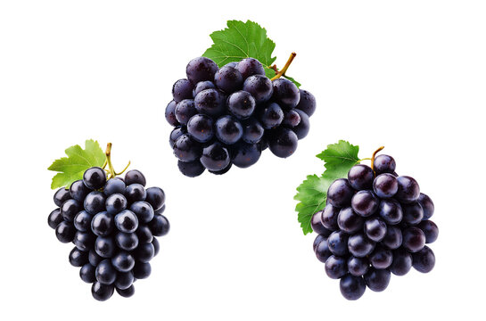 Bunches of purple grapes fresh fruit for healthy eating and winemaking