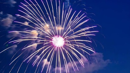 Wall Mural - magnificent purple and white firework bursts illuminating the twilight sky with a display of radiati