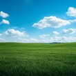 © kkkiim graphic - green field with sky background -