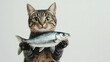 © Dawna - A tabby cat holds a fish, showcasing a playful and curious expression.