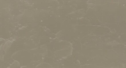 Leinwandbilder - Neutral Texture Background with Subtle Patterns and Earthy Tone