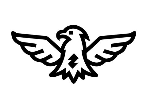 eagle bird logo vector desigen 
