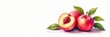 © nittiya - Watercolor peach, juicy, ripe, hand-drawn White background , sweet, illustration