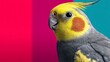 © pornthip - Vivid yellow and grey parrot,  closeup portrait of tropical avian beauty yellow