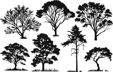 silhouette tree vector set for design elements nature graphics forest trees woodland tree shapes iso