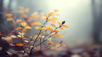Poster - Golden leaves shimmer softly in sunlight, blending warm hues with a blurred backdrop. A tranquil vignette enhances the serene, autumnal atmosphere of the moment