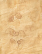 © Sergio - Light Coffee Stained Paper