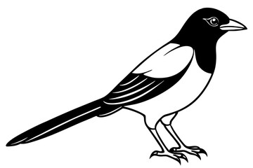 magpie silhouette design