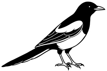 magpie silhouette design