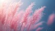 © Siti - Serene Pink Pampas Grass in Gentle Breeze