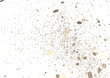 © vegefox.com - gold  confetti falling down isolated on transparent background. PNG