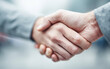 © Vilius - Close-up handshake in professional business setting