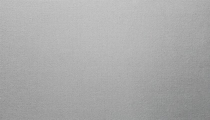 Poster - Exploring a soft gray canvas photography studio setting minimalism close-up perspective abstract art concept
