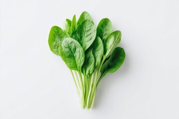 Poster - minimalist photo of bundle of spinach leaves arranged neatly on plain white background with soft lighting and ample