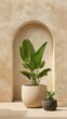 © milenialdesastudio - Beige archway with potted plants