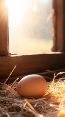 Poster - Fresh brown egg resting on straw, basking in the warm sunlight streaming through the window of a cozy chicken coop, creating a charming and rustic farm atmosphere