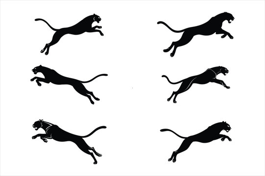 Cheetah silhouette