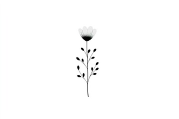 Poster - Black and white flower illustration with delicate details and sleek design for modern decor