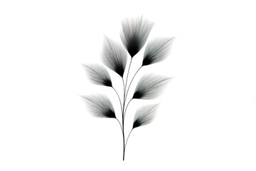 Poster - Black and white illustration of delicate floral design with soft lines and curves showcasing natural beauty and elegance