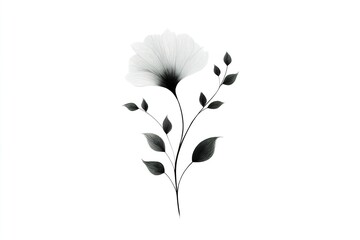 Poster - Elegant black and white floral illustration featuring delicate petals and leaves on a clean background