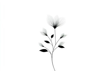 Poster - Delicate black and white floral illustration featuring elegant leaves and petals against a minimalist background