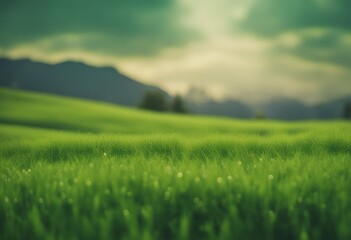 Wall Mural - green field picturesque cloud beauty spring autumn landscape agriculture nature pasture farm backgro