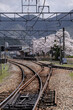 © Yuna Zembo - 桜の咲くローカル駅