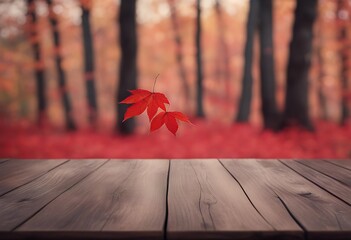 wooden leaves background autumn table red leaf wood season sunset tree branch empty aged copy space october maple fall plank yellow bokeh orange brown rustic sunny blur old display foliage natural