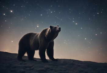 Poster - big sky starry constellation dipper major night great bear amazing ursa bright stellar shine astral 