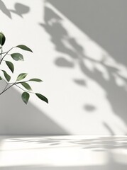 Poster - Light and Shadow Interplay With a Plant Casting Intricate Patterns on a Wall in a Serene Indoor Setting During Daylight Hours