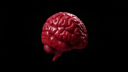 Poster - Rotating Anatomical Model of the Human Brain in Glossy Detail Generative AI