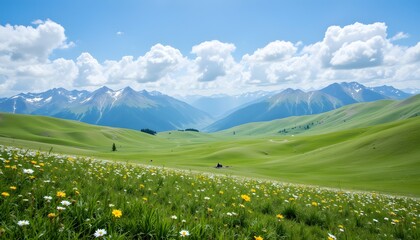 Wall Mural - Vast Expanse of Emerald Hills under a Bright Blue Sky